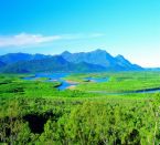 6 Tage Cape York Halbinsel